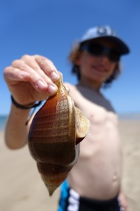 DSC09716 